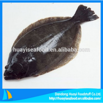Good quality fresh frozen flounder para la venta